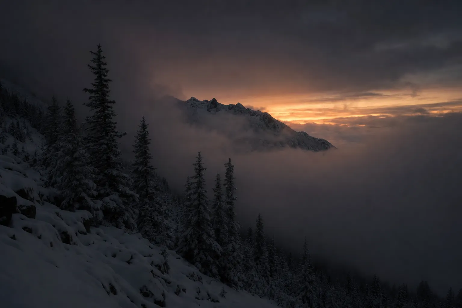 Forêt alpine enneigée dans la brume au lever du jour