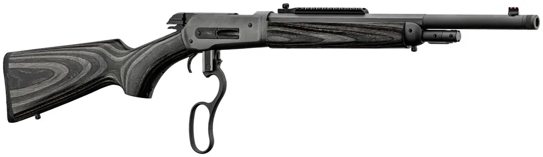 Carabine 1886 Lever Action WILDLANDS Cal. 45-70 Govt, vue 2