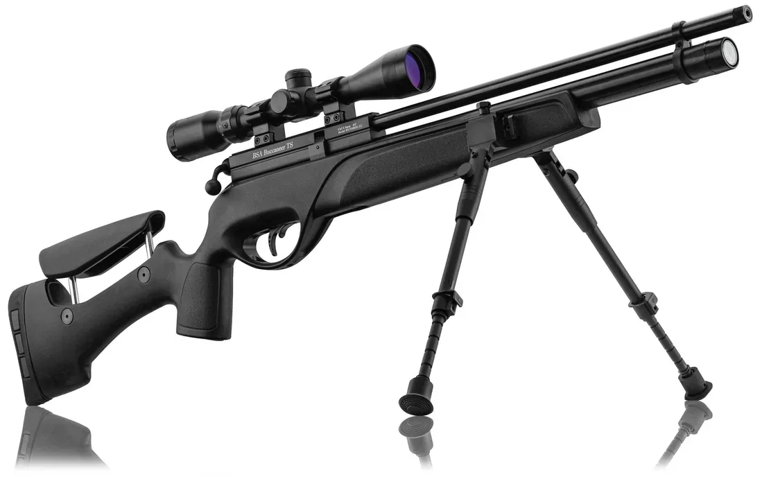 Carabine à air comprimé BSA Bucaneer TS calibre 5.5mm, vue 2