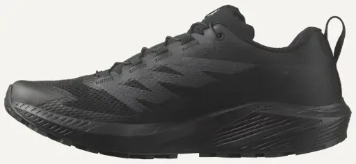 Chaussures Salomon Sense Ride 5 SR, vue 2
