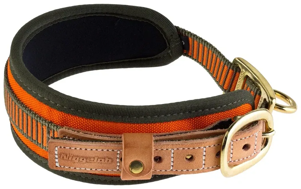 Collier chien de sang orange fluo - Niggeloh