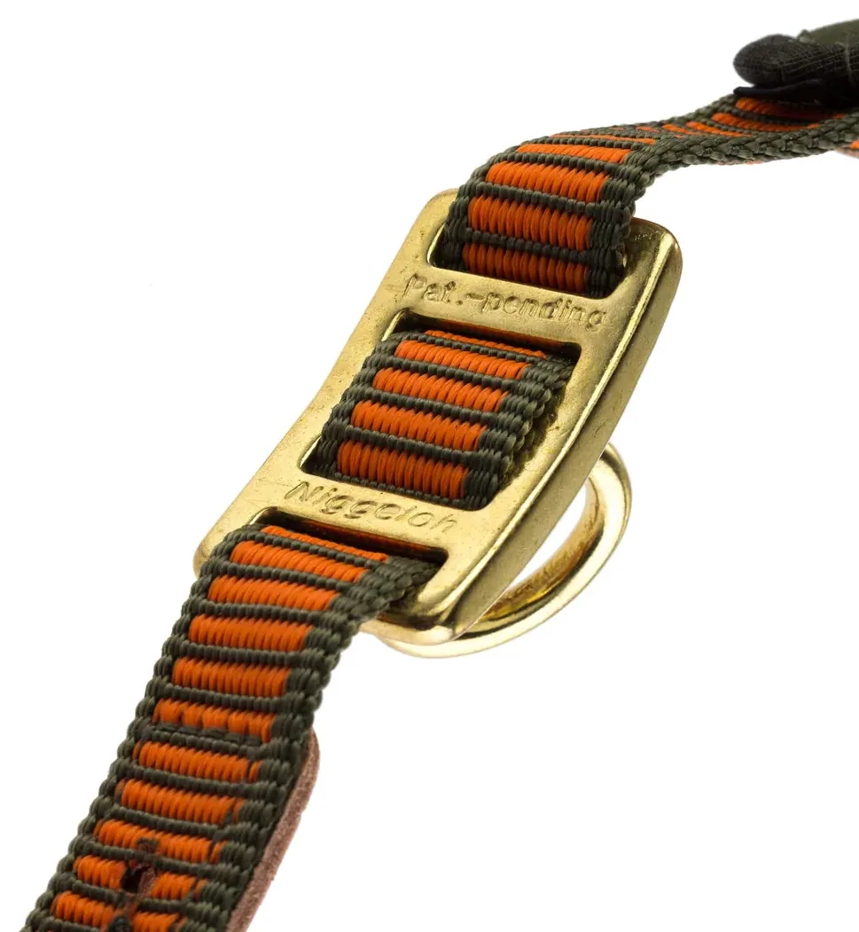 Collier chien de sang orange fluo - Niggeloh, vue 2