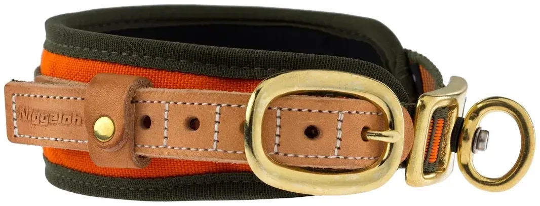 Collier chien de sang orange fluo - Niggeloh, vue 3