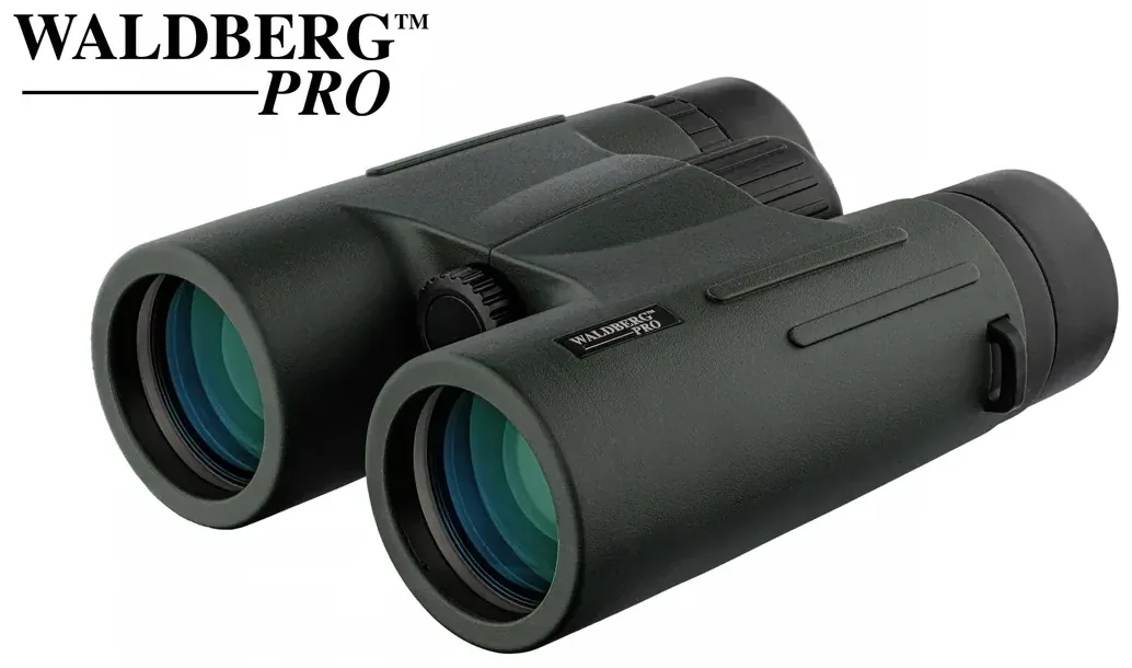 Jumelles Waldberg Pro 8 x 42 ED