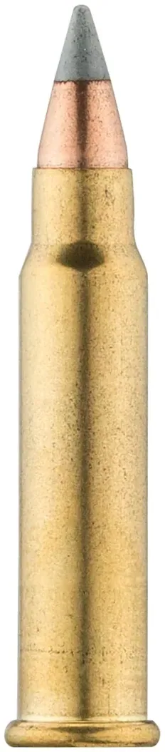 Munitions Varmint HV cal. 17 HMR, vue 3