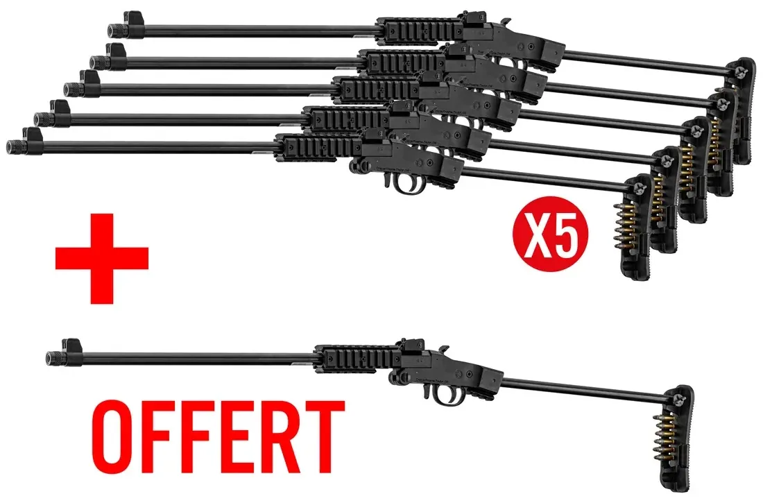 Pack 6x Carabines Chiappa Little Badger Xtrem 22LR